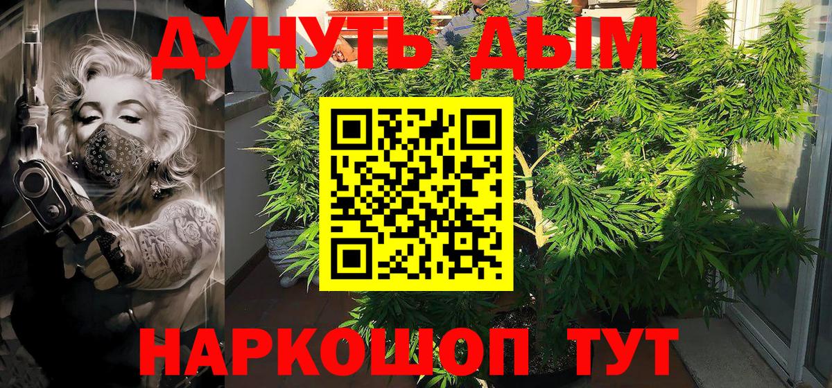 Шишки марихуана Ganja  Шишки марихуана LSD WEED  МАРИХУАНА сатива  Сочи  Вход с VPN  Канабис индика 